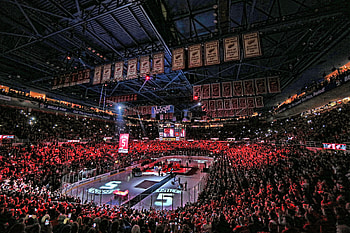Detroit Red Wings, Team , Sports glory, Legendary players HD wallpaper