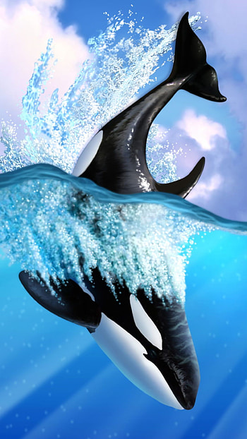 Whale Daving into Ocean, Animal, whale HD phone wallpaper