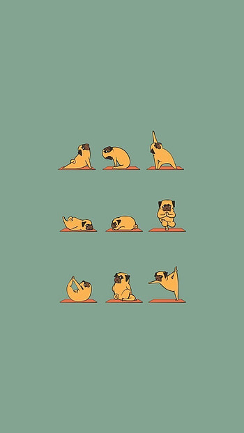 Funny Pug Doing Yoga 8 HD phone wallpaper