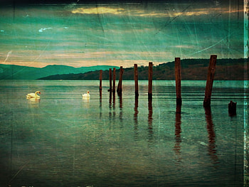 In for the long haul., sea, long, green HD wallpaper
