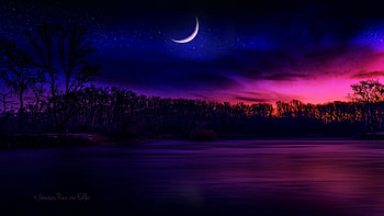 Moonlight beauty, Nighttime illumination, Luminous celestial body, Magical glow HD wallpaper