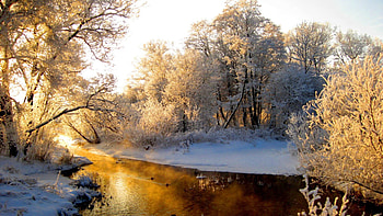 Winter, Nature, Rivers, Reflection, Shine, Light, Forest, Frost, Hoarfrost, Gray Hair HD wallpaper