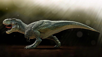 Tyrannosaurus Rex, Powerful predator, Mesozoic era, Fossil record HD wallpaper
