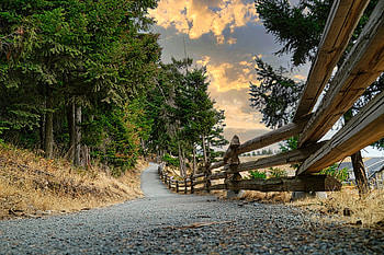 Old fence along a pathway, pathway, nature, forest, fence, clouds HD wallpaper