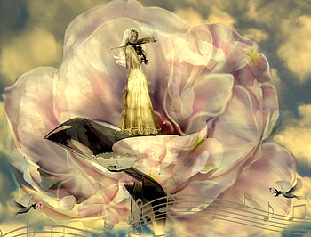 Serenade, clouds, gold dress, black shoe, pink rose, violin, woman HD wallpaper