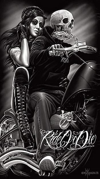 Ride or die, Harley Davidson, motorcycle HD phone wallpaper