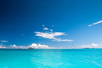 Into infinite waters, clouds, trees, seascape, islot HD wallpaper