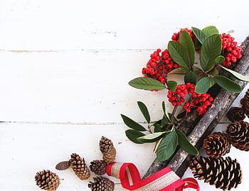 Top-down view of red berries, pine cones, and festive ribbon on a rustic wooden surface. HD wallpaper