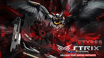 ASUS STRIX GTX980, STRIX, 2015, , 17, OVERCLOCKERS, ASUS, 07 HD wallpaper