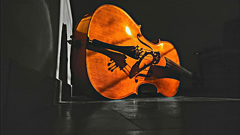 Double bass , Ethan Mercado, Unique illustrations, Bassist's world HD wallpaper
