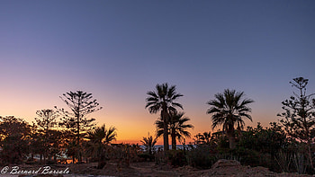 Egyptian Palm Oasis at Dusk —, man made, Egypt HD wallpaper
