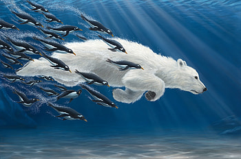 Underwater, blue, white, urs, polar bear, art, robert bissell, penguin, painting, fantasy, pictura, water, diving HD wallpaper