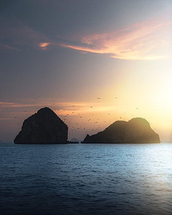 Nature, Birds, Sky, Sea, Twilight, Rocks, Dusk HD phone wallpaper