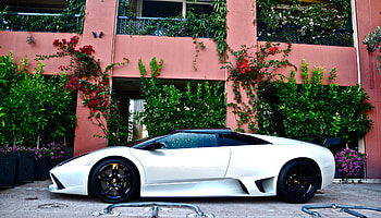 Lamborghini, Cars, Side View, Murcielago HD wallpaper
