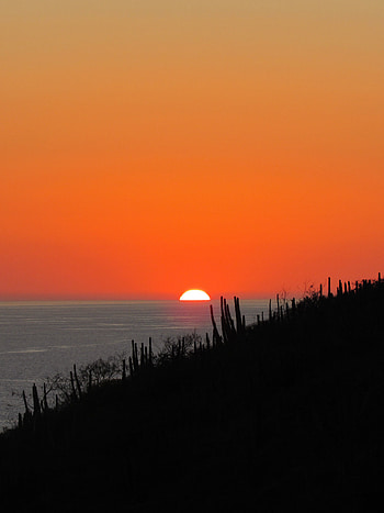 Nature, Sunset, Sea, Sun, Horizon, Dark HD phone wallpaper