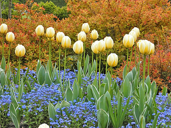 Peace, island, canada, buchart, vancouver HD wallpaper