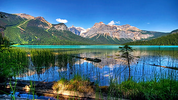 Emerald Lake, Yoho NP, trees, sky, Alberta, mountains, water, canada, reflections HD wallpaper