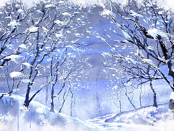 Winter holidays, winter, nature, snow, tree HD wallpaper
