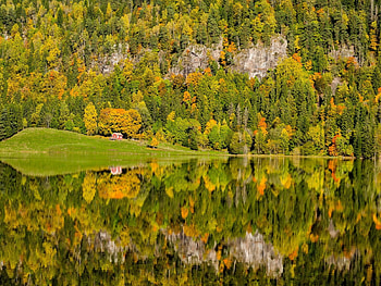Autumn Reflection,Norway, reflection, trees, autumn, nature, forest, lake HD wallpaper