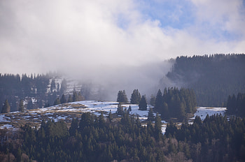 Nature, Mountains, Snow, Forest, Fog HD wallpaper