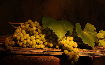 Fruits, Food, Grapes, Branch, Tasty, Delicious HD wallpaper