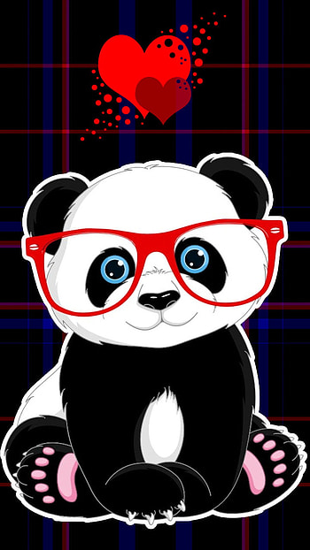 Animal, panda HD phone wallpaper