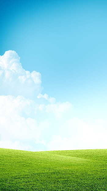 Nature 6 Plus , Grass field, Blue sky, Clouds HD phone wallpaper