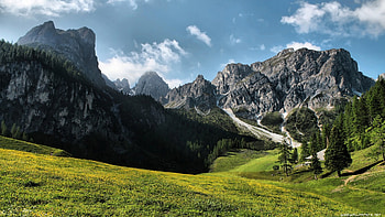 beautiful mountain meadow, trees, meadow, mountains, cliffs HD wallpaper