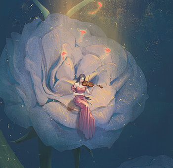 Fairy, flower, cute, girl, mini, violin, art, blacklamp, black lamp, view from the top, instrument, fantasy HD wallpaper