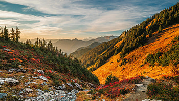 Mount Baker Washington Usa, mountains, mountain, sky, clouds, cloud, tree, nature HD wallpaper