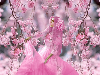 Perfectly Pink Ladies 3, pink, white, green, branches, flowers, girl, dress, soft, butterflies, delicate HD wallpaper