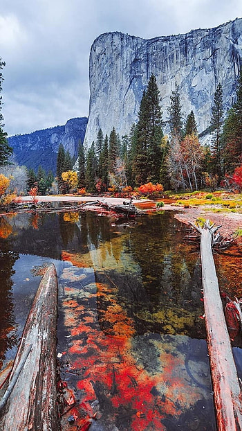 Beautiful Nature, Wonderful Aesthetic HD phone wallpaper