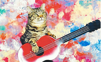 Tabby Cat, guitar, cute, cat, tabby, paws HD wallpaper