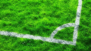 Nature, Grass, Markup, Field, Lawn HD wallpaper