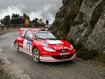peugeot 206 wrc, peugeot, french, car, rally HD wallpaper