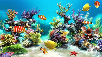 Aquarium Animated : Fish tank for windows 10 HD wallpaper