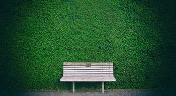 Beautiful Bench In Garden, garden, nature HD wallpaper