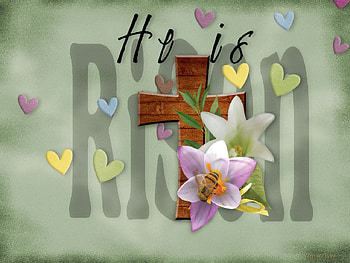 He Is Risen, white, cross, jesus, beautiful, spring, pink, brown, pretty, green, yellow, hearts, flowers, easter, christian HD wallpaper