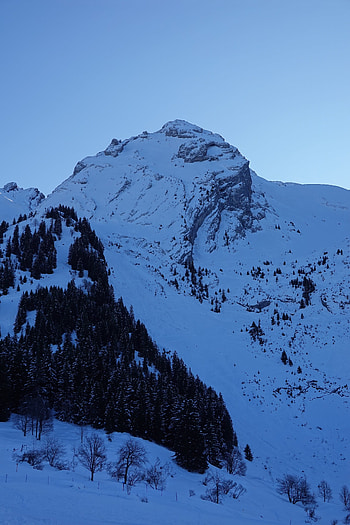 Nature, Trees, Mountains, Snow, Vertex, Top, Snow Covered, Snowbound HD phone wallpaper