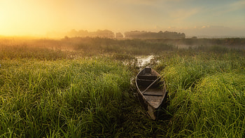 Boat, grass, lake, sunset HD wallpaper