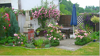 Summer Garden, summer, roses, garden, terrace, home HD wallpaper