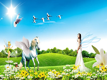 fary, afzal, salena, gresh HD wallpaper