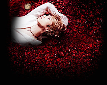 Yasu, Acid Black Cherry, Rose petals, Male HD wallpaper