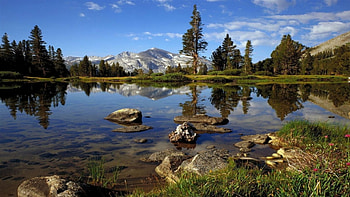 Yosemite National Park, California, mountain, lake, rock, daylight, day, reflection, clouds, trees, nature, sky, water, forest HD wallpaper