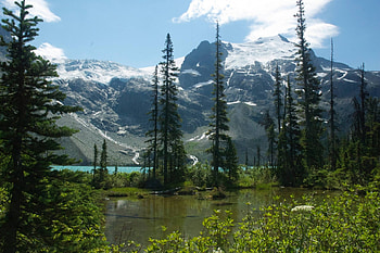 canada, fun, cool, nature, forest, mountain HD wallpaper