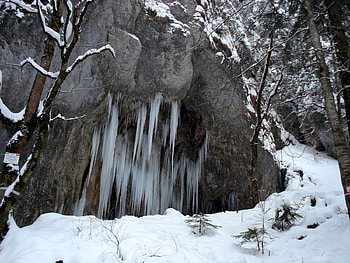 Frozen, winter, white, landscape, popular, cold, sesons, rock, snow, trees, nature, forest, ice HD wallpaper