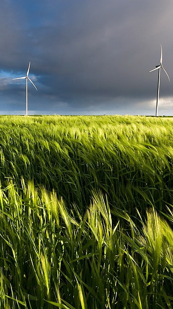 Moving, Windmill, green grass HD phone wallpaper