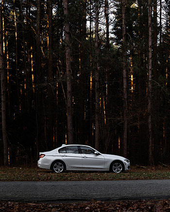 Cars, Forest, Car, Machine, Side View HD phone wallpaper