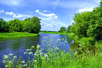 River scene, river, beautiful, grass, serenity, shore, scenery, clouds, trees, greenery, nature, sky, riverbank, calm, stream HD wallpaper