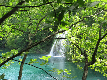 Beauty of Bosnia, river, peace, nature, forest HD wallpaper